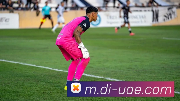 安博在线登录发展历程