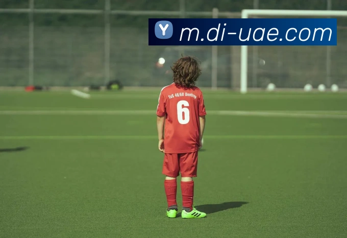 生活琐事与心情碎片的交织分享合集四篇